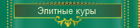 Элитные куры